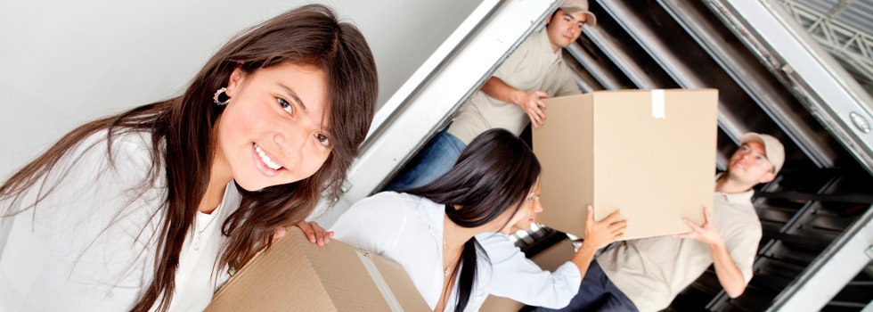 Professional Removalists Rosslyn